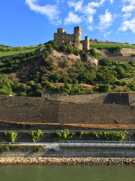 rhein-river-cruise-03a