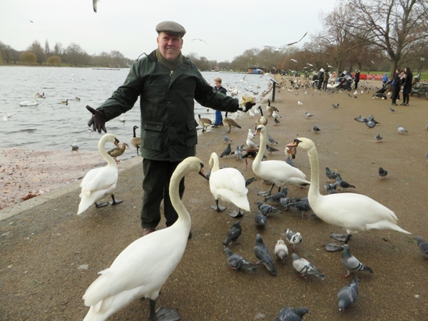 Bill and the Swans 4 (Blog)